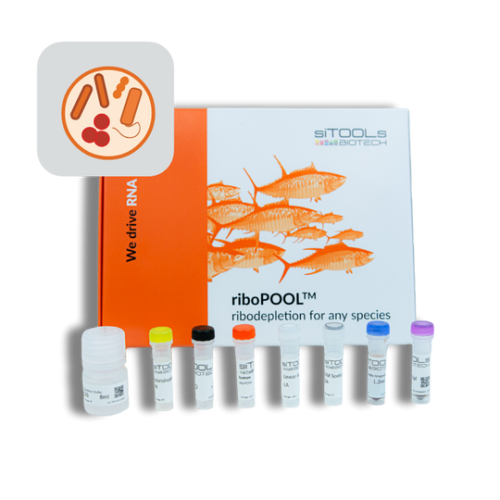 Pan-Prokaryote 96 rxn riboPOOL kit