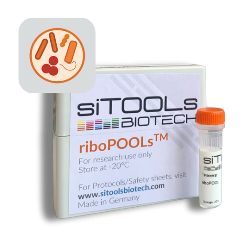 Pan-Prokaryote 12 rxn riboPOOL Probes