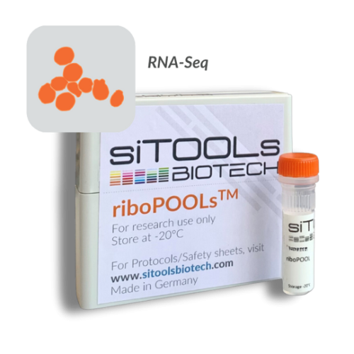 Saccharomyces cerevisiae 96 rxn riboPOOL Probes