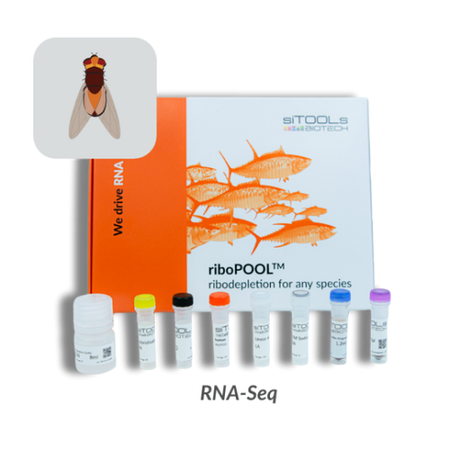 Drosophila melanogaster 12rxn riboPOOL kit