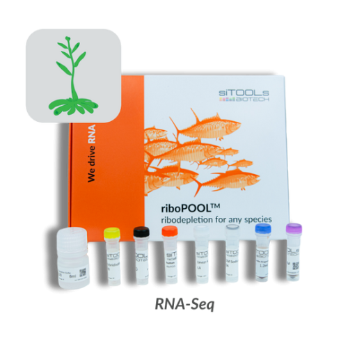 Arabidopsis thaliana 12rxn riboPOOL kit