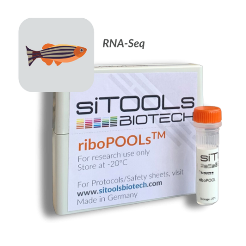 Danio rerio 12 rxn riboPOOL Probes