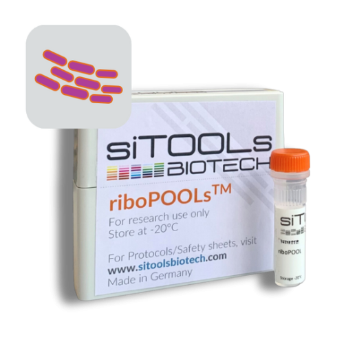 Bacillus subtilis 96 rxn riboPOOL Probes