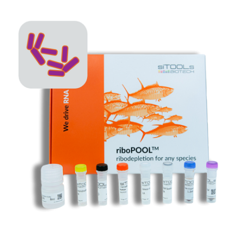 Clostridium perfringens 12rxn riboPOOL kit