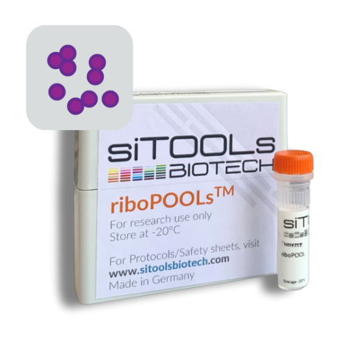 Staphylococcus aureus 12 rxn riboPOOL Probes