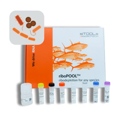 Pan-Bacteria 12rxn riboPOOL kit