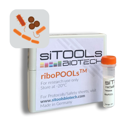 Pan-Bacteria 24 rxn riboPOOL Probes