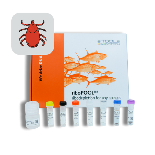 Ixodes scapularis 12rxn riboPOOL kit