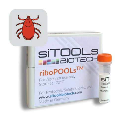 Ixodes scapularis 12 rxn riboPOOL Probes