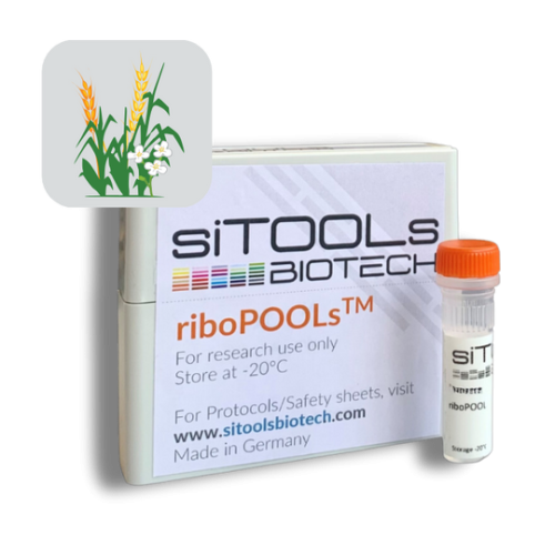 Pan-Plant 12 rxn riboPOOL Probes