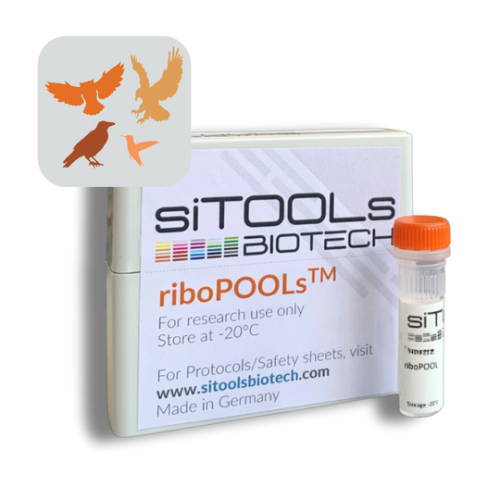 Pan-Bird 12 rxn riboPOOL Probes