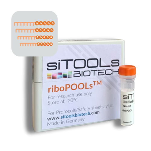 Poly A (Poly-Adenylated RNAs) 12 rxn riboPOOL Probes