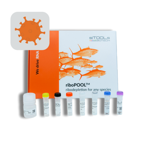 SARS-CoV-2 RNA 12rxn riboPOOL kit