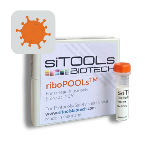 SARS-CoV-2 RNA 12 rxn riboPOOL Probes