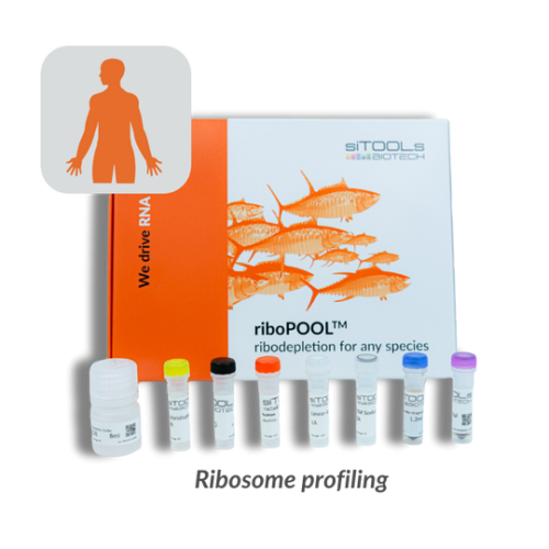 Human Ribo-Seq 96 rxn riboPOOL kit