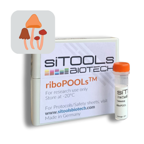 Pan-Fungi 12 rxn riboPOOL Probes