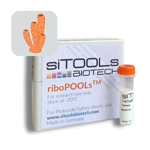 Pan-Sponge 96 rxn riboPOOL Probes