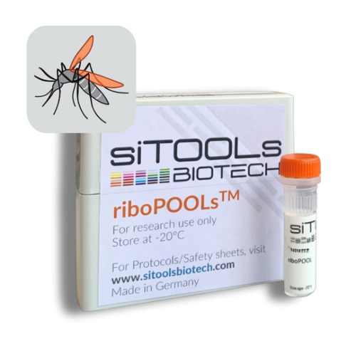 Aedes albopictus 12 rxn riboPOOL Probes