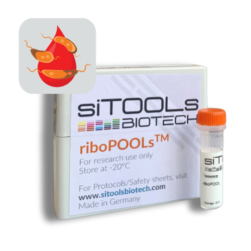 Blood Parasite 24 rxn riboPOOL Probes