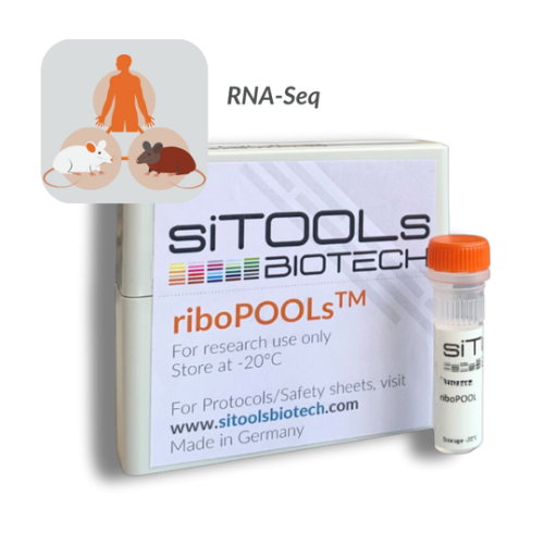 Human-Mouse-Rat 12 rxn riboPOOL Probes