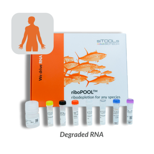 Human degraded RNA 12rxn riboPOOL kit