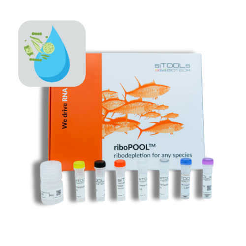 Seawater 24 rxn riboPOOL kit