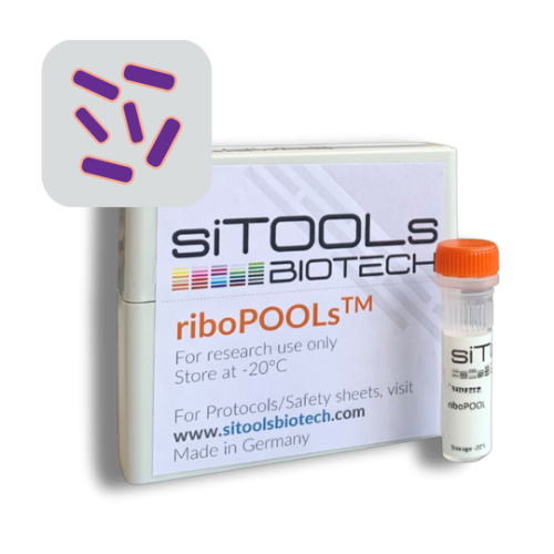 Eubacterium limosum 12 rxn riboPOOL Probes