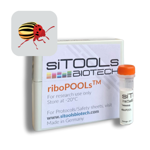 Leptinotarsa decemlineata 12 rxn riboPOOL Probes