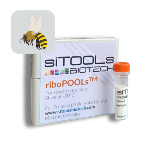 Apis mellifera 12 rxn riboPOOL Probes