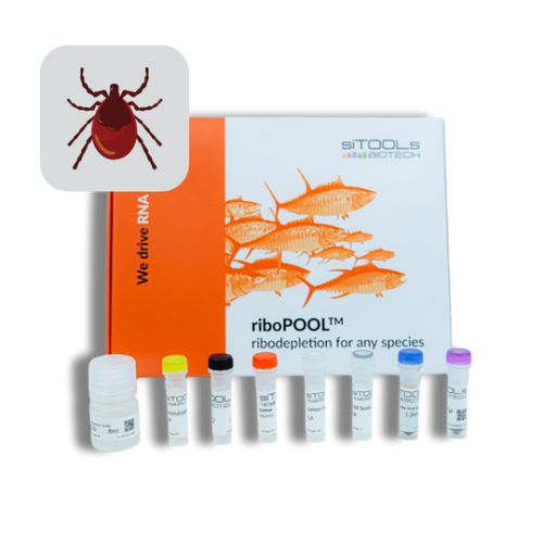 Varroa destructor 12rxn riboPOOL kit