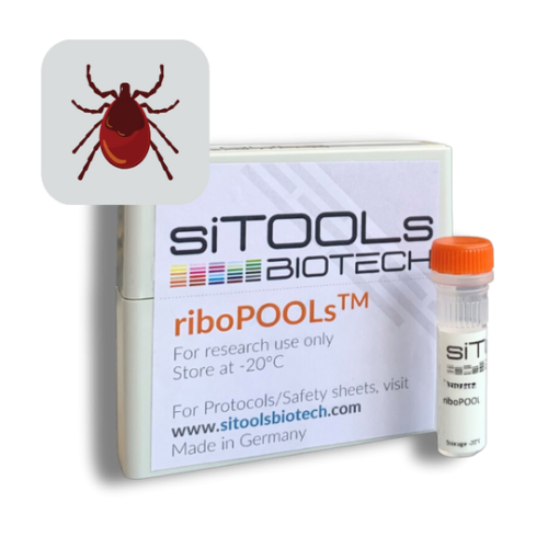 Varroa destructor 12 rxn riboPOOL Probes