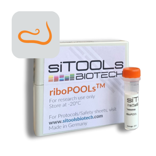 Schistosoma mansoni 96 rxn riboPOOL Probes