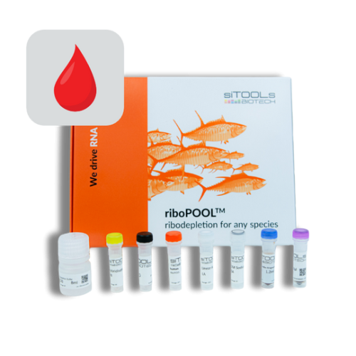 Human Blood 12rxn riboPOOL kit