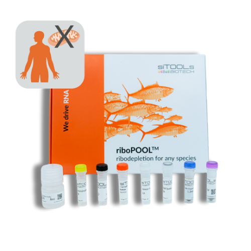 Human 24 rxn riboPOOL kit - cytoplasmatic rRNAs only