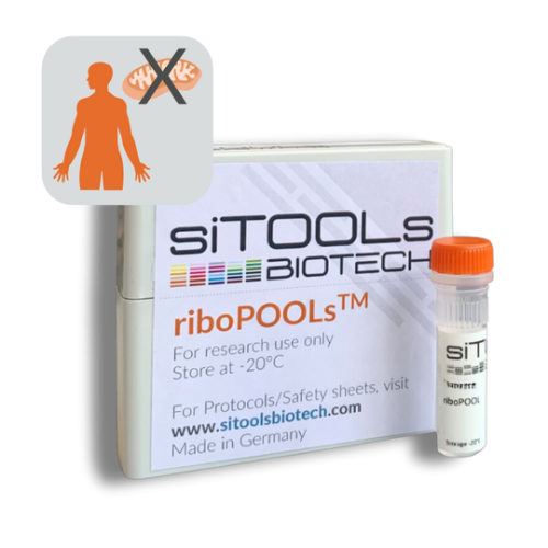 Human 24 rxn riboPOOL Probes- cytoplasmatic rRNAs only