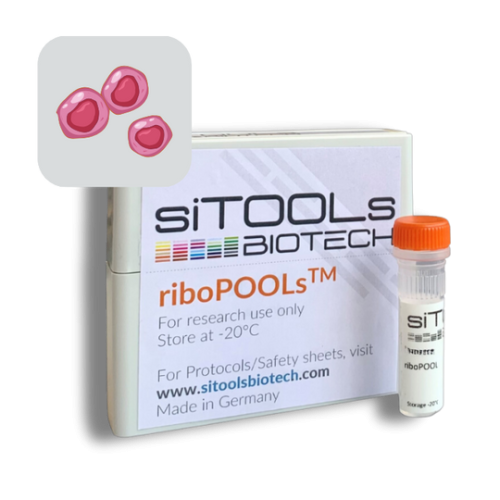 Pan-Chlamydia 96 rxn riboPOOL Probes