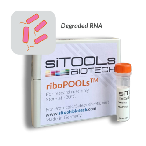 Escherichia degraded RNA 12 rxn riboPOOL Probes