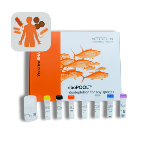 Human + Bacteria (20:1) 12 rxn riboPOOL kit