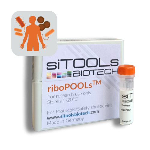 Human + Bacteria (20:1) 12 rxn riboPOOL Probes