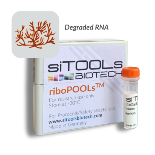 Ectocarpus siliculosus degraded RNA 12 rxn riboPOOL probes