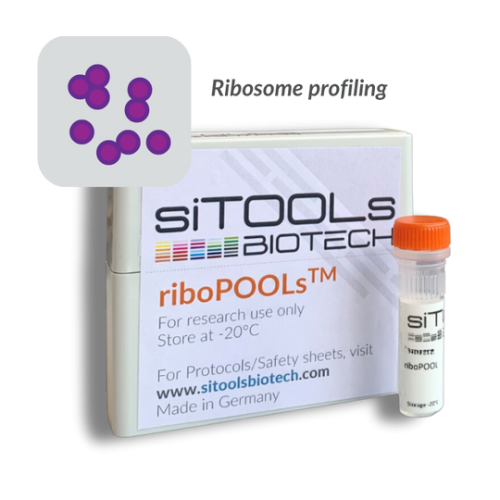 Staphylococcus aureus Ribo-Seq 12 rxn riboPOOL probes