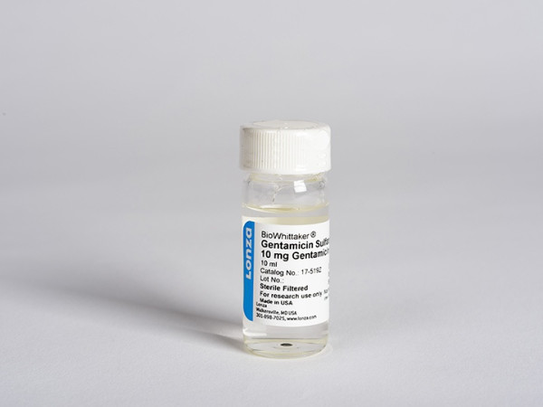 Gentamicin 10 mg/ml 1 x 10 ml screw cap