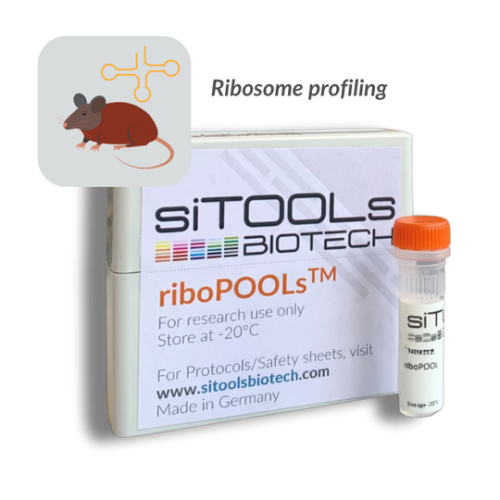 Mouse tRNAs Ribo-Seq 12 rxn riboPOOL probes