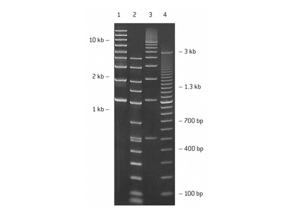 SeaPlaque AGAROSE 500G