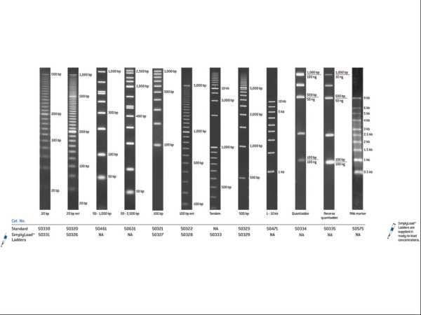 SimplyLoad Tandem DNA Ladder