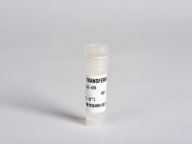 Human Transferrin 0.5 ml