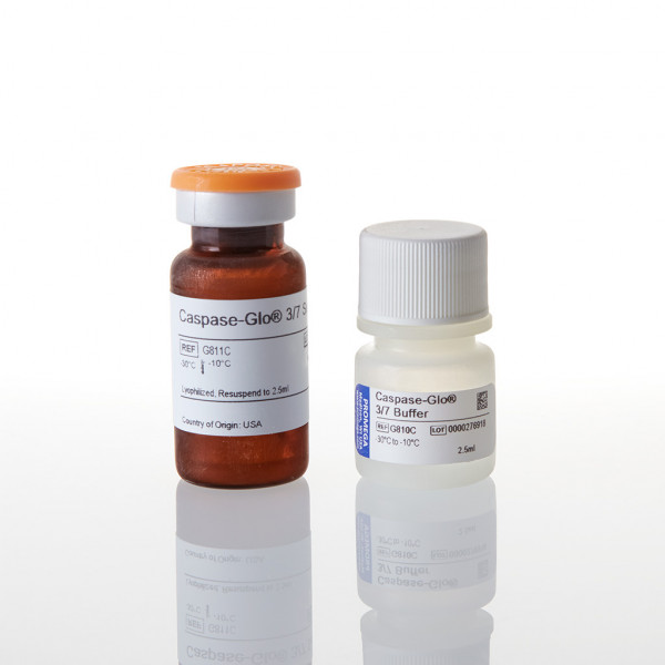 Caspase-Glo 3/7 Assay