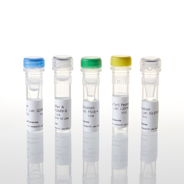 BTK Kinase Enzyme System