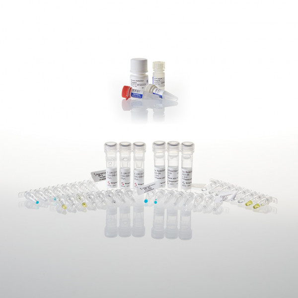 Kinase Selectivity Profiling System: General Panel + ADP-Glo Assay