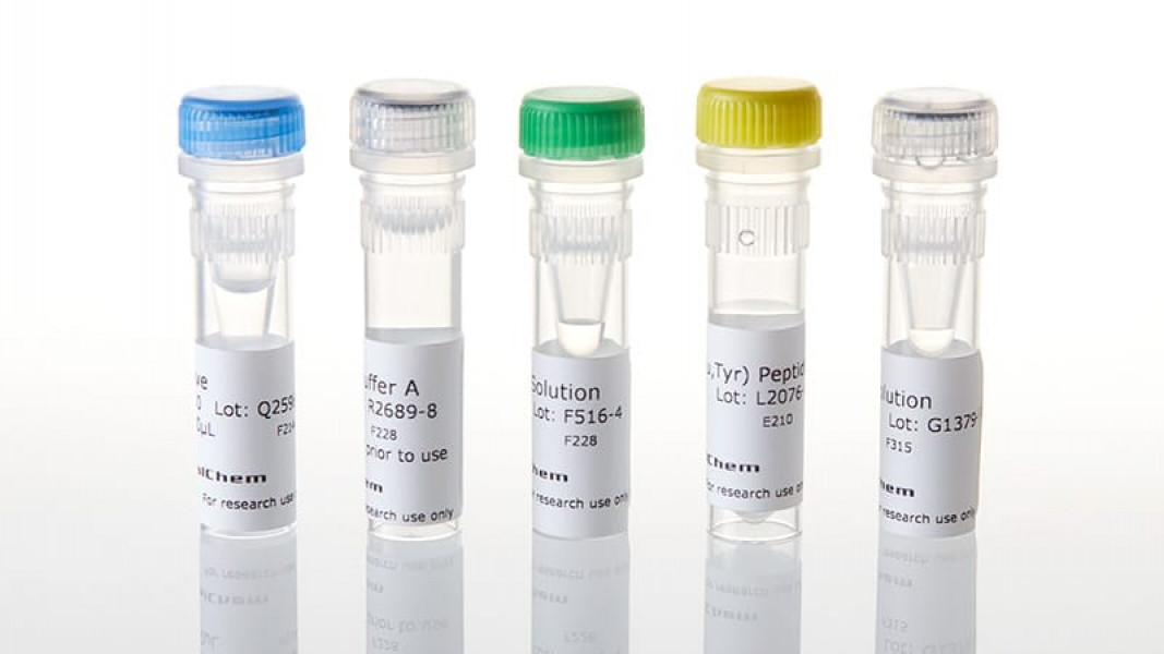 TIE2 Kinase Enzyme System